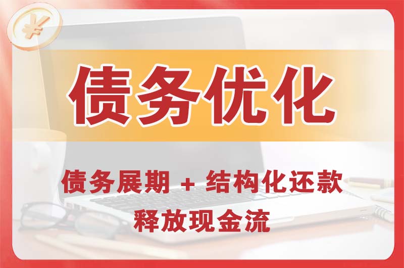 汤阴债务优化